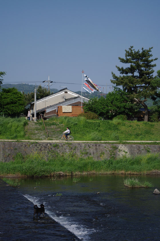 f0152550_2251343.jpg