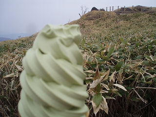 e0004756_20202257.jpg