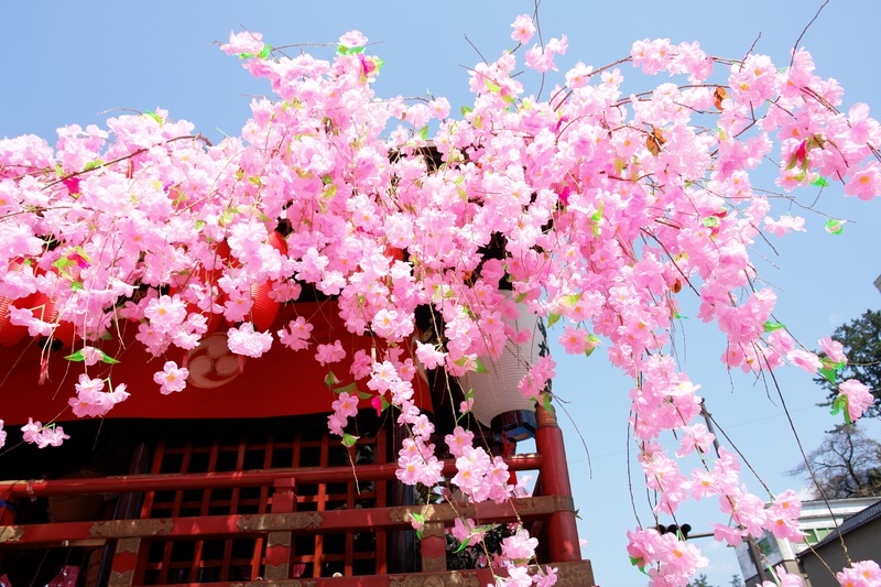 4月6日　曳山祭　未申桜輪会　13:08_b0013157_23525211.jpg