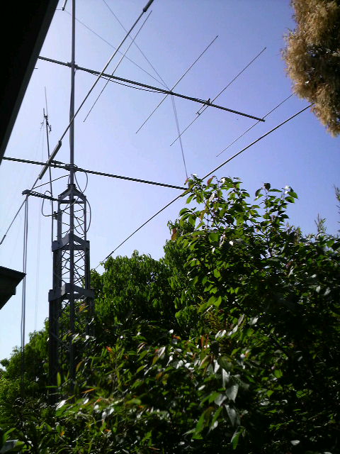 c0147261_12541089.jpg