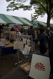 ゆかいなヒノデカニ!?_a0044064_785072.jpg