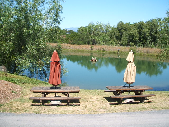 c0115366_648922.jpg