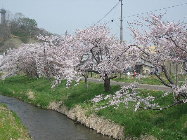 f0146769_16234991.jpg