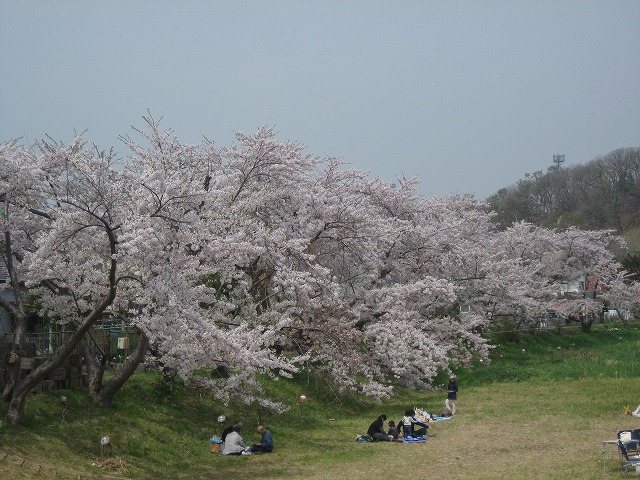 f0146769_162431.jpg
