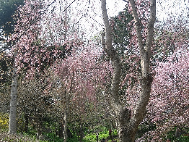f0146769_16252193.jpg