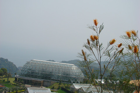 b0135573_19514028.jpg