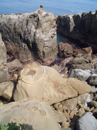 d0141376_1985929.jpg