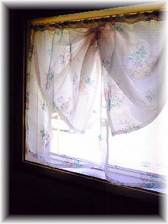 a0026089_1462128.jpg