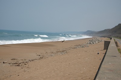 a0110392_11141135.jpg