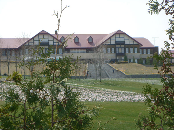 f0146493_03636.jpg