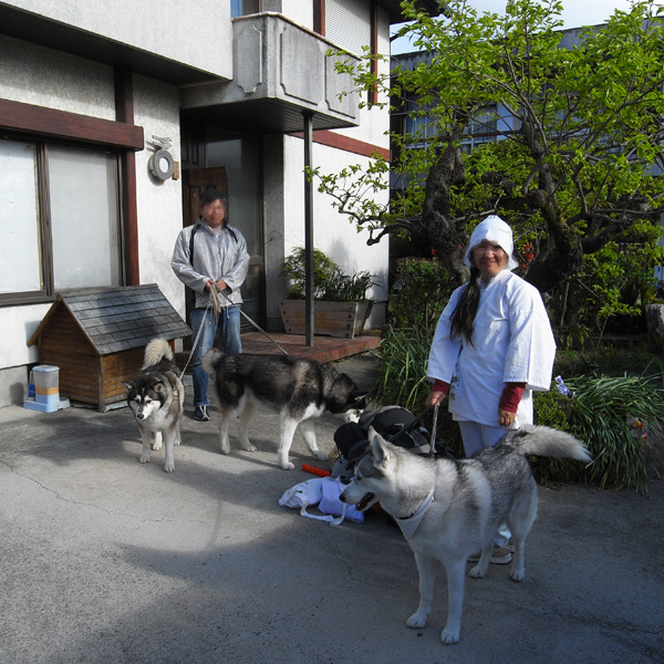 犬連れ遍路隊 4月19日_c0049299_19133228.jpg