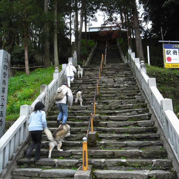 犬連れ遍路隊 4月19日_c0049299_19134457.jpg