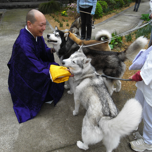 犬連れ遍路隊 4月19日_c0049299_1914453.jpg