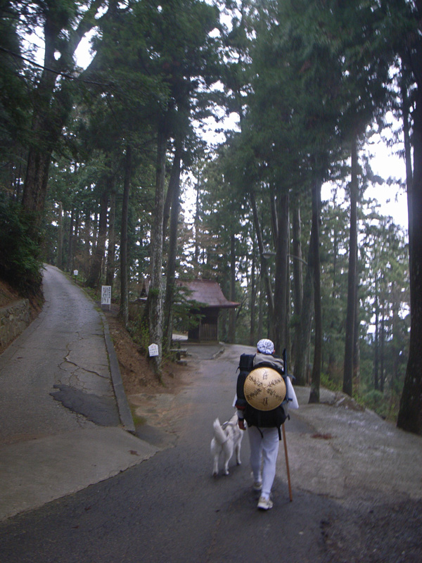 犬連れ遍路隊 4月19日_c0049299_19152249.jpg
