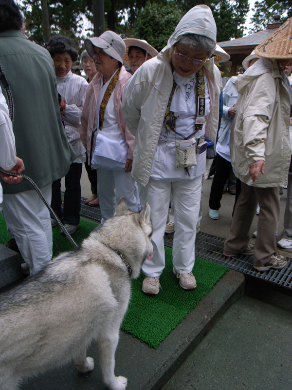 犬連れ遍路隊 4月19日_c0049299_19154311.jpg