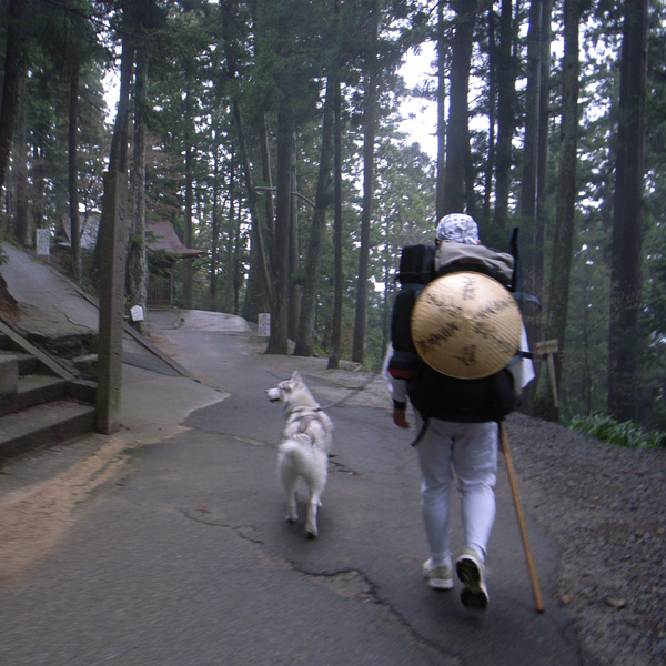 犬連れ遍路隊 4月19日_c0049299_191597.jpg