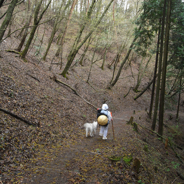 犬連れ遍路隊 4月19日_c0049299_19163648.jpg
