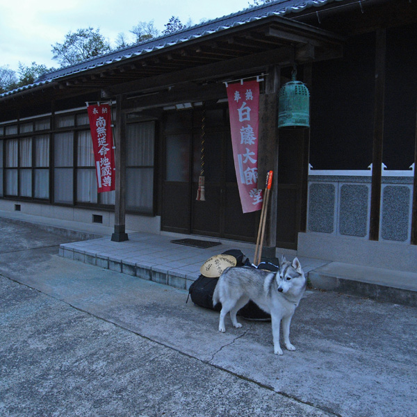 犬連れ遍路隊 4月19日_c0049299_191737100.jpg