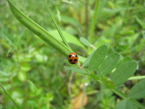 b0097200_16124884.jpg
