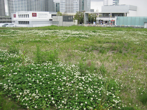 b0097200_16133343.jpg
