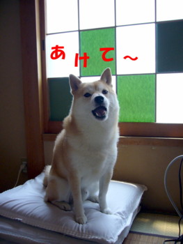 e0131506_2336333.jpg