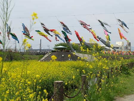 a0041508_213896.jpg