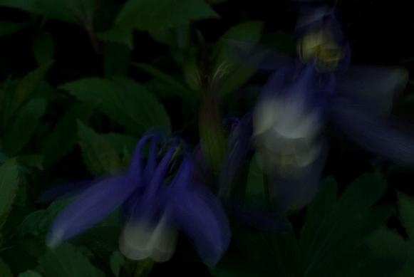 f0155808_6462291.jpg