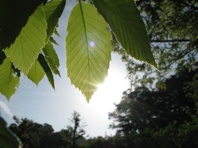d0081210_2331234.jpg