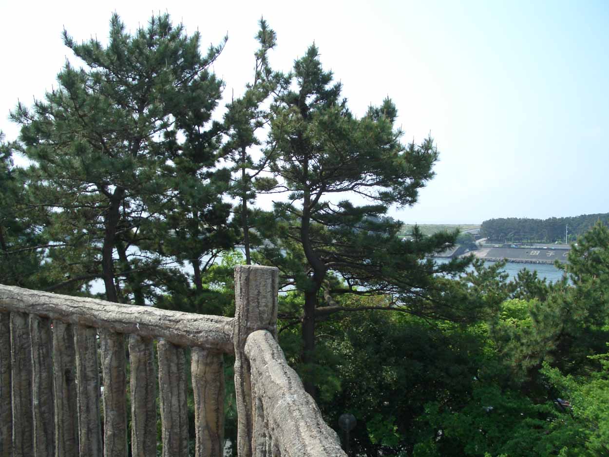 一万歩 元吉原 松と潮騒コース_f0141310_20263043.jpg