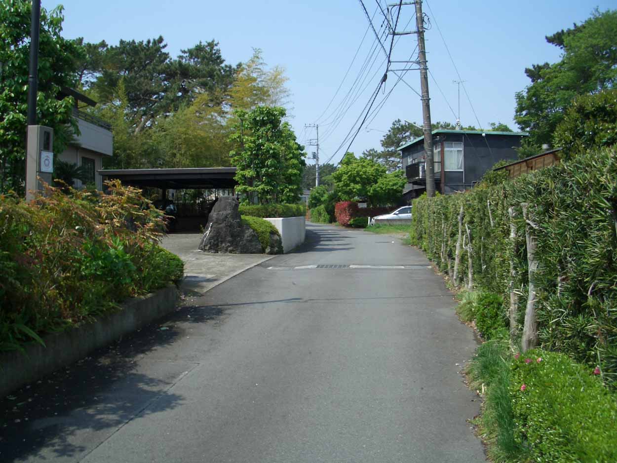 一万歩 元吉原 松と潮騒コース_f0141310_20272836.jpg