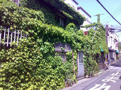 ■たぶん、夜中文章。_d0051613_11102.jpg