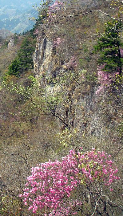 c0073016_13145142.jpg
