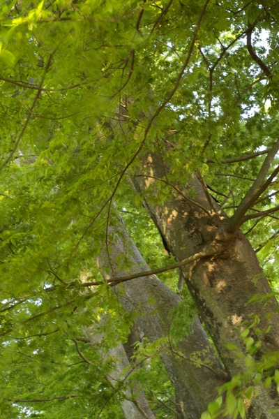 c0107924_23561286.jpg