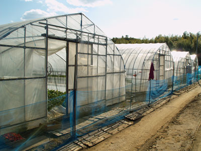 f0047524_2211053.jpg