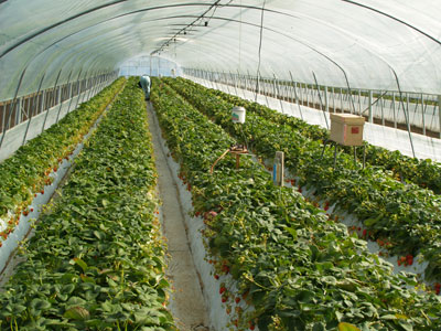 f0047524_22113685.jpg