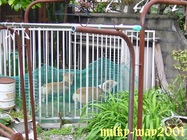 a0070626_15282926.jpg