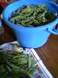 a0046530_1324655.jpg