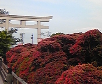 f0063931_1646386.jpg