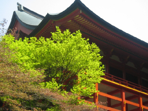 d0017632_92269.jpg