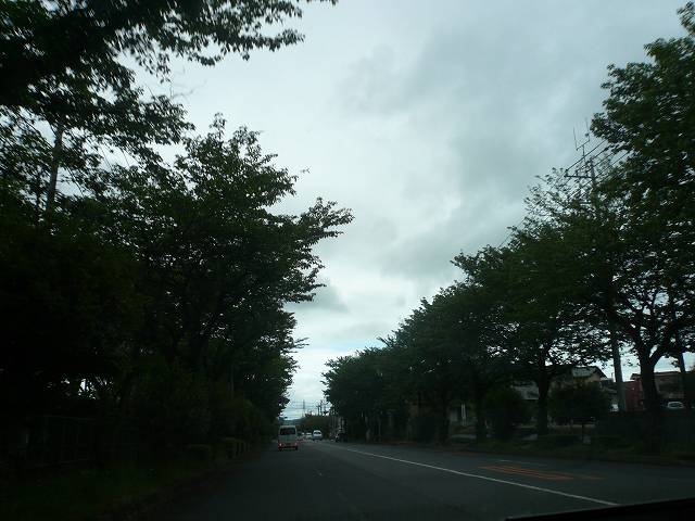 a0006033_16243444.jpg