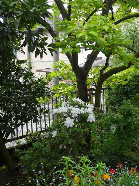 a0006033_1627220.jpg