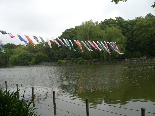 e0085133_22523771.jpg