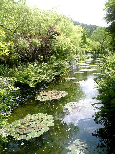 c0036138_22591996.jpg