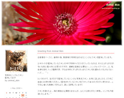 「サボテンの花」のスキン配布　「Flower1」 by Animal Skin_f0165338_23161971.jpg