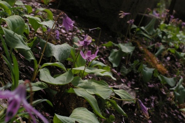 d0038644_2321162.jpg