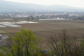 d0038644_23283367.jpg
