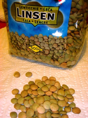 Linsen（レンズマメ）_a0072247_681570.jpg