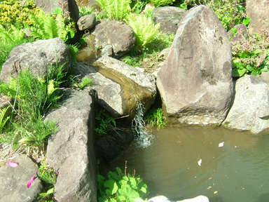 暑すぎですよ!_d0141049_850158.jpg