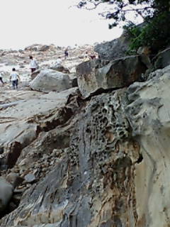 f0043861_1653674.jpg