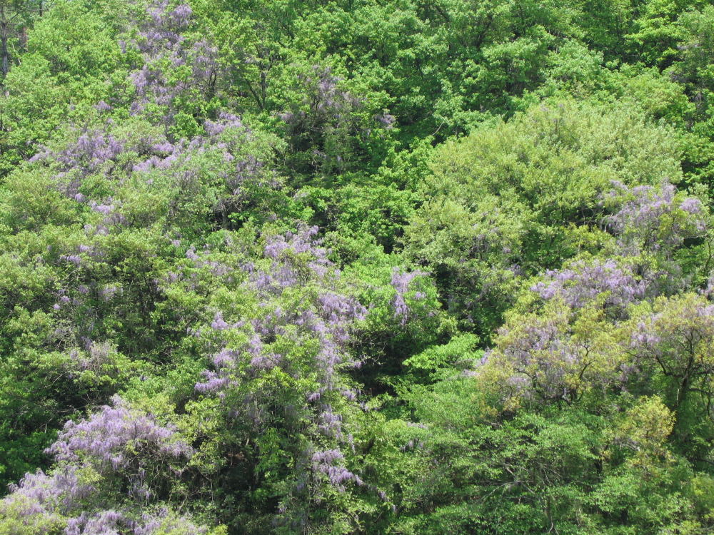 b0129962_1841431.jpg